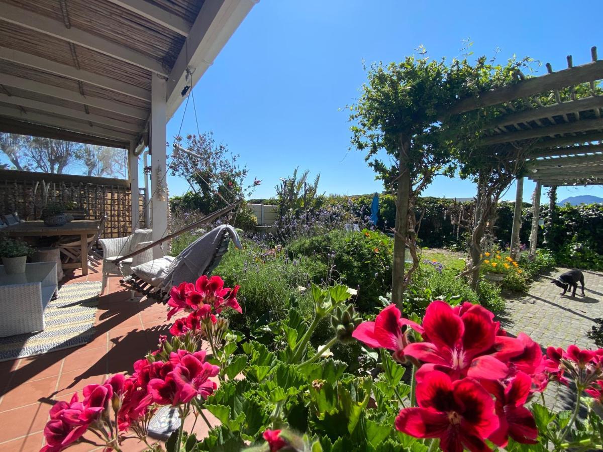 Guinea Fowl House Hotel Kommetjie Kültér fotó