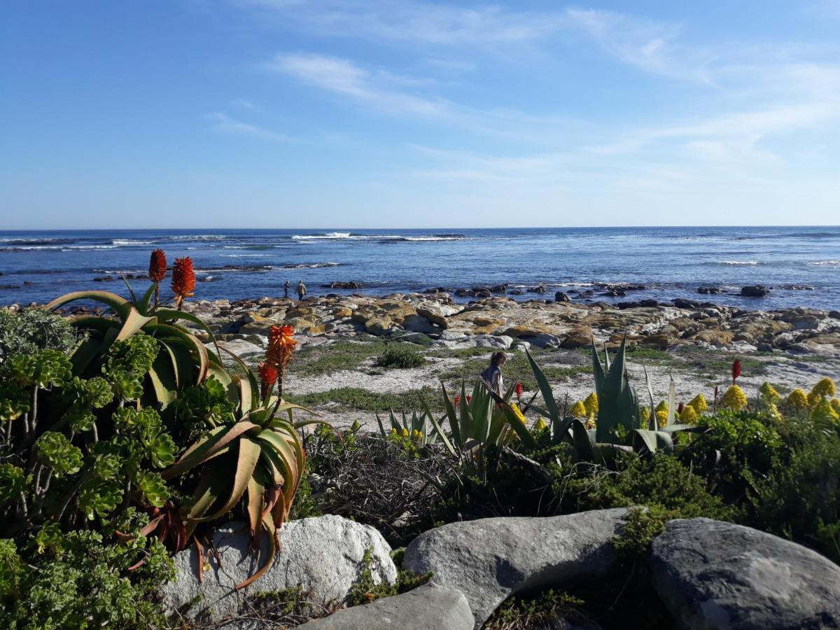 Guinea Fowl House Hotel Kommetjie Kültér fotó